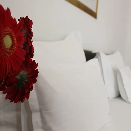Marul Hotel 4*